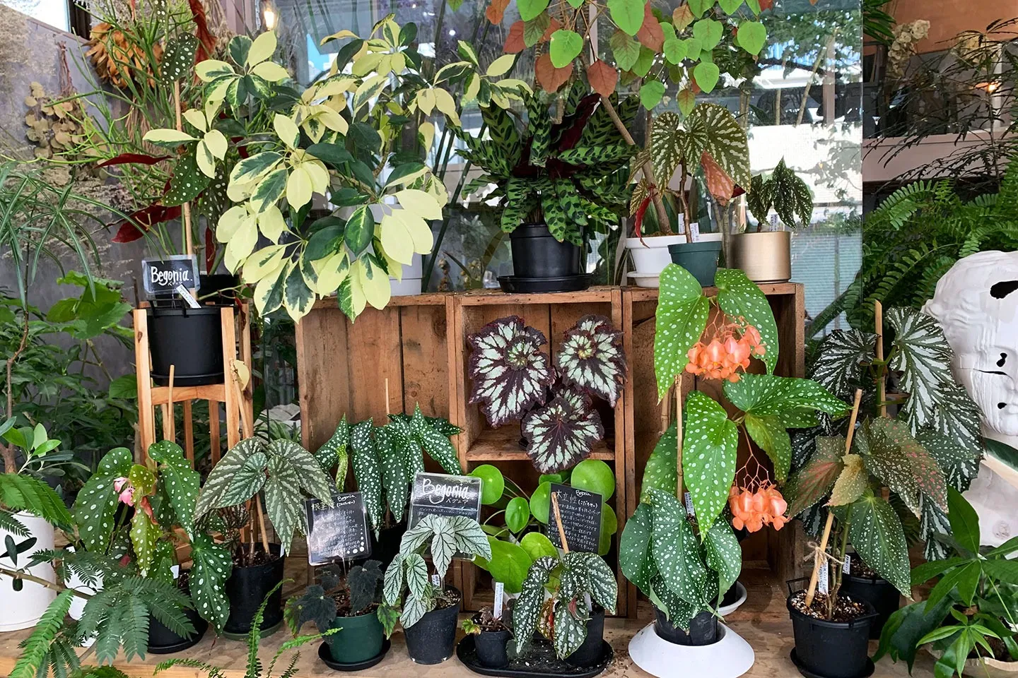 販売中のこだわりの商品をご紹介