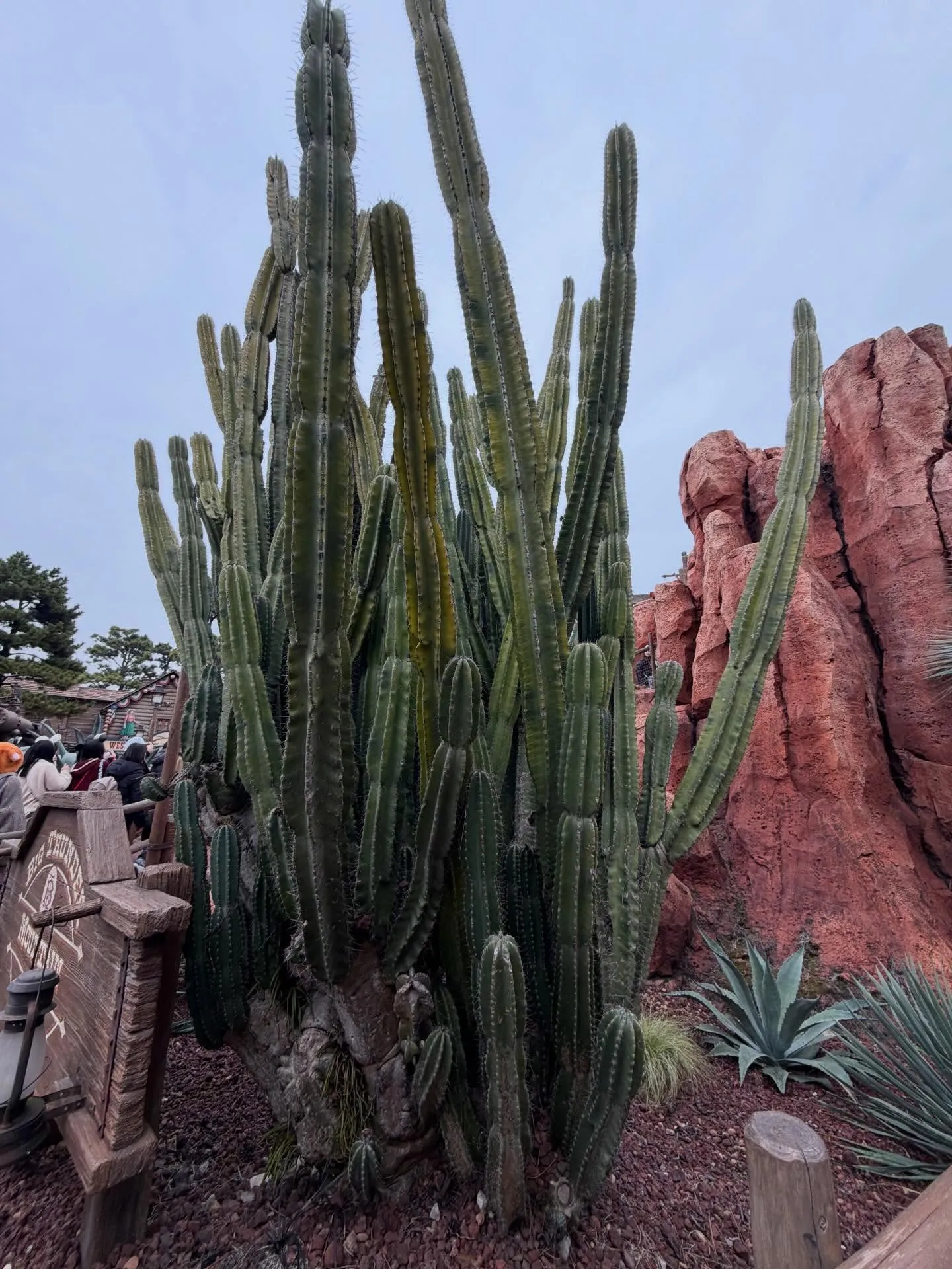 こんにちは、店主です。