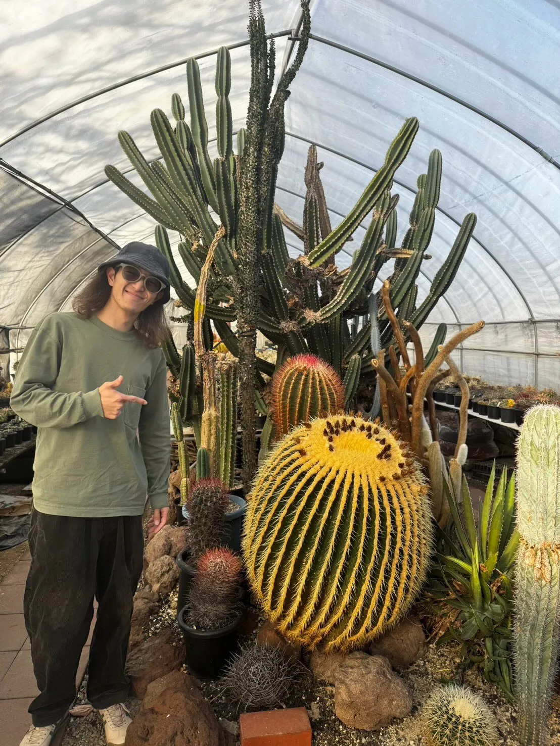 こんにちは、店主です。