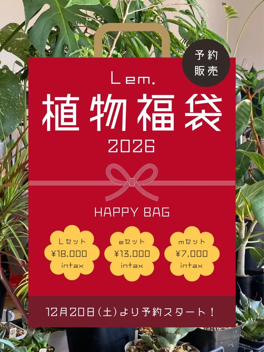 福袋販売いたします🙌🛍️