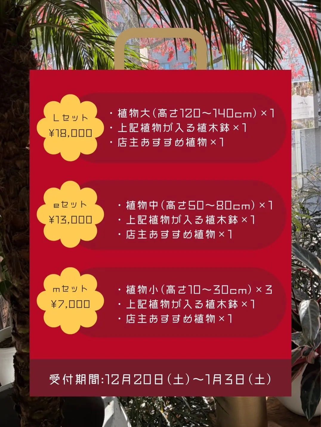 福袋販売いたします🙌🛍️