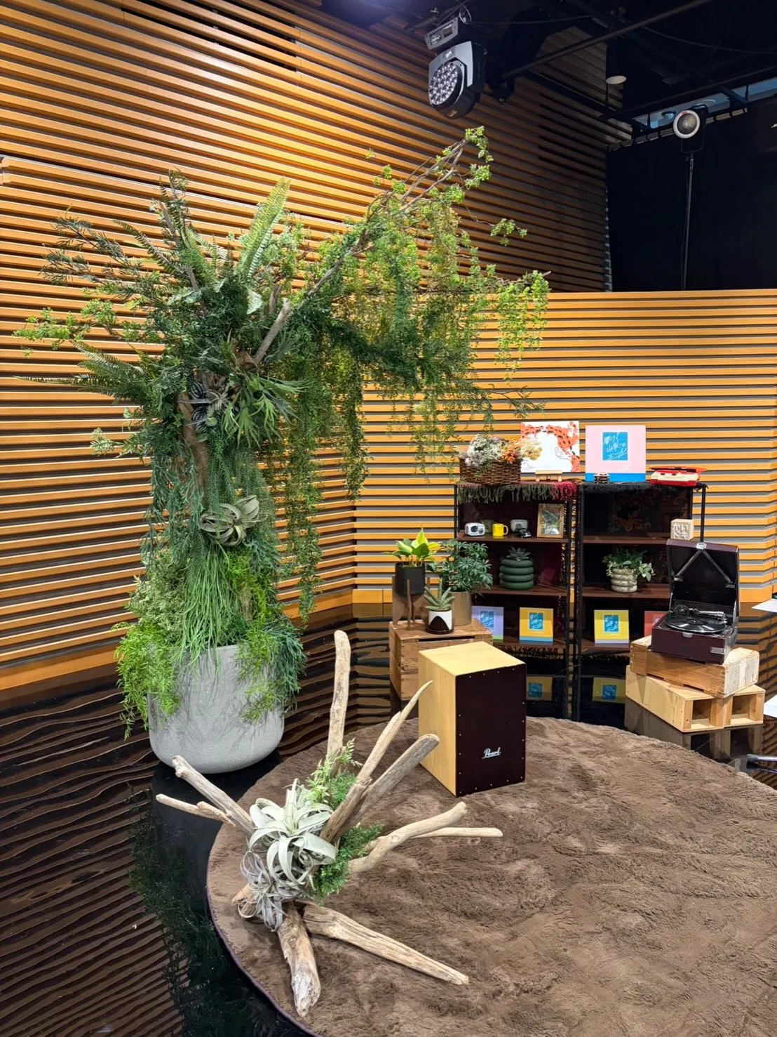 4月26日に放送された「Newsかいドキ」にて