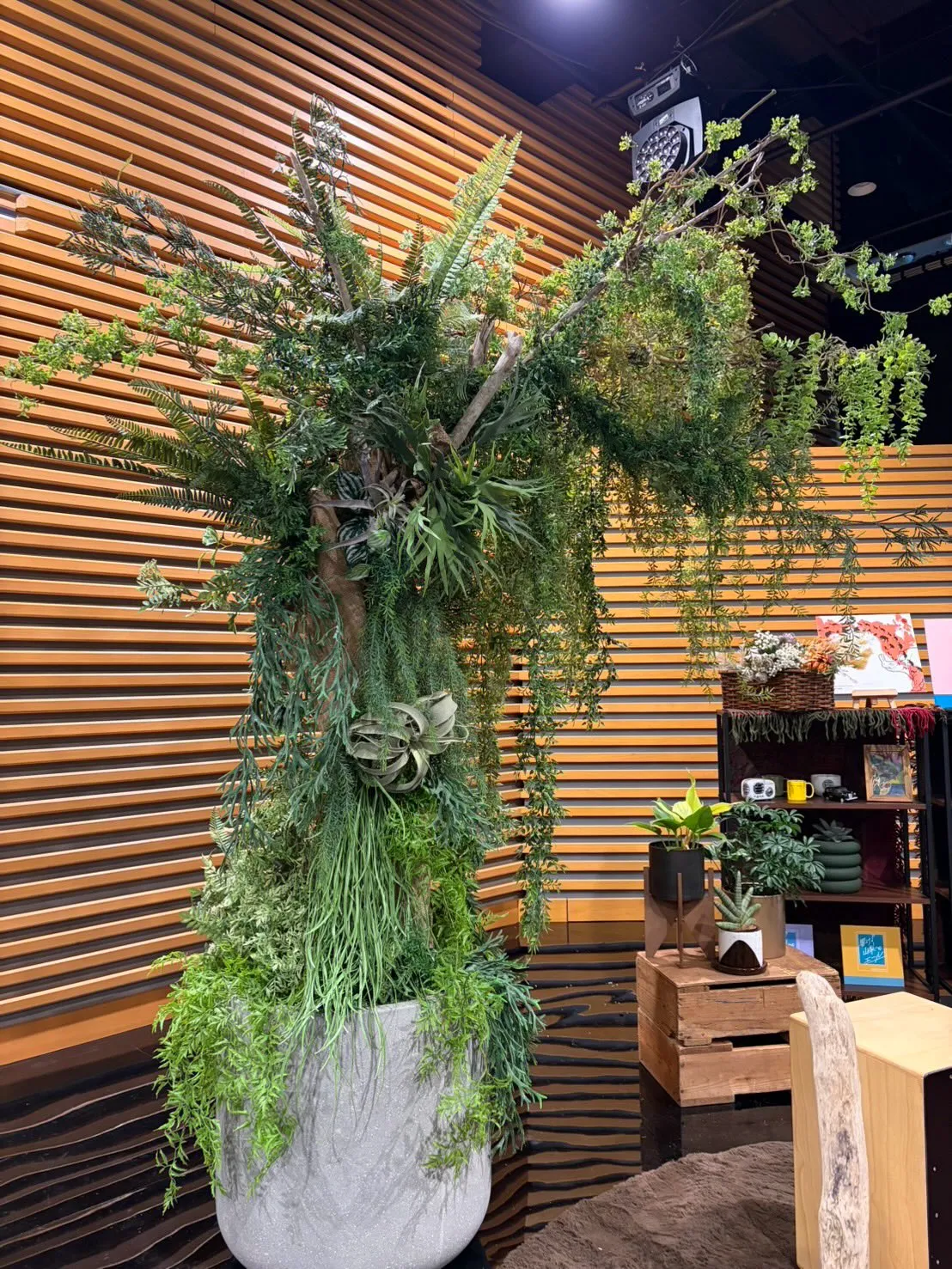 4月26日に放送された「Newsかいドキ」にて