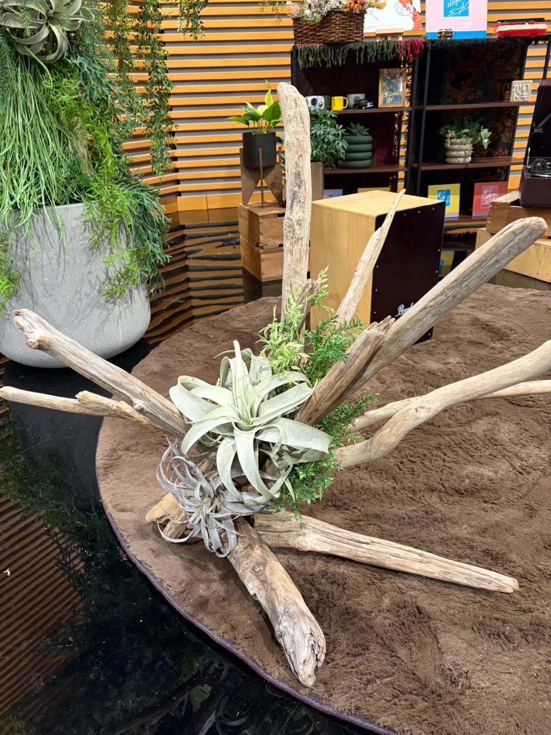 4月26日に放送された「Newsかいドキ」にて