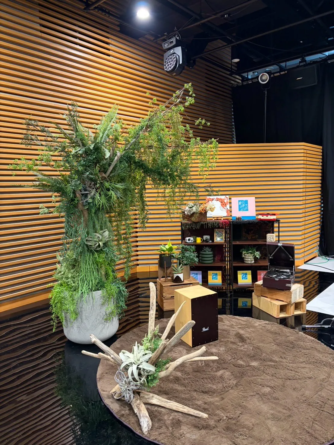 4月26日に放送された「Newsかいドキ」にて