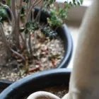 プライバシーポリシー