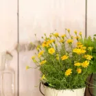 プライバシーポリシー