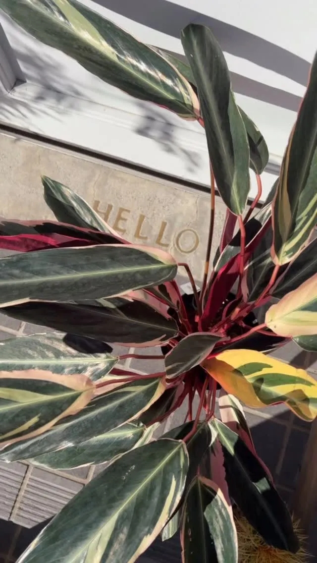 出会いに感謝です。