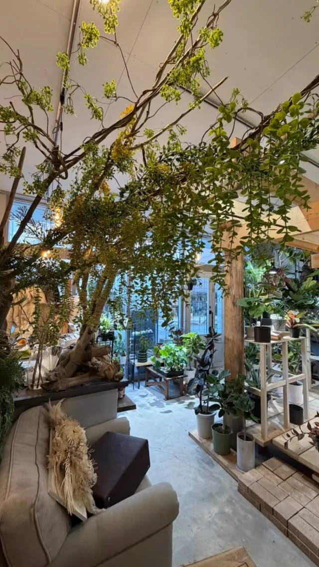 植物で生活を豊かに🪴✨